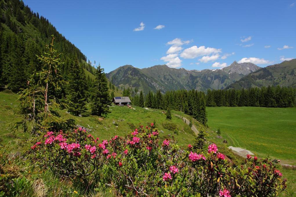 Naturhotel Huettenwirt Im Grossarltal Hüttschlag Esterno foto