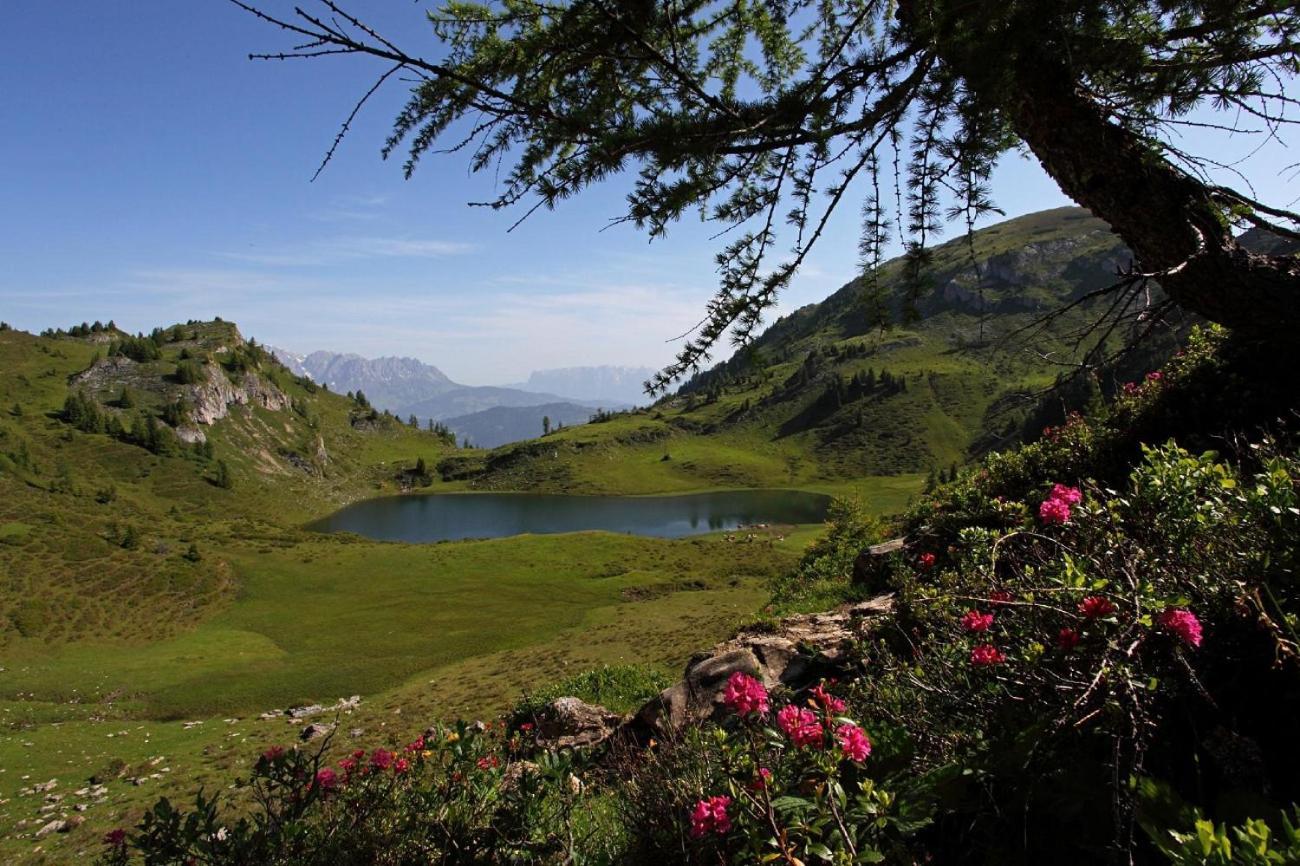 Naturhotel Huettenwirt Im Grossarltal Hüttschlag Esterno foto
